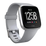 Fitbit Versa Smart Watch Large & Small Bands - Gray/Silver - FB504SRGY