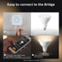 Philips Hue Outdoor LED Floodlight Light Bulb 476812