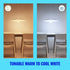 WiZ - A19 Color and Tunable White Bulb 556134