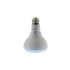 WiZ BR30 Color and Turnable White Bulb 556142