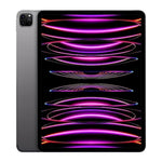 Unlocked Apple 12.9" iPad Pro 6th Gen Wi-Fi+Cell - 256GB - Gray - MP603LL/A