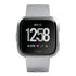 Fitbit Versa Smart Watch Large & Small Bands - Gray/Silver - FB504SRGY