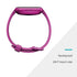 Fitbit Versa Lite Edition – Smartwatch – Mulberry w/ Small and Large Bands – FB415PMPM