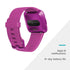 Fitbit Versa Lite Edition – Smartwatch – Mulberry w/ Small and Large Bands – FB415PMPM