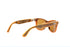 Ray-Ban Meta Wayfarer Smart Glasses: Polarized Brown - Standard Fit (Regular Size)