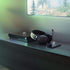 SteelSeries Arctis 9X Wireless Gaming Headset for Xbox - Black