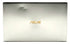 ASUS - ZenBook UX434DA UM433DA - FHD - Ryzen 7 3700U - 16GB - 1TB-SSD - Silver