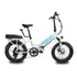 Lectric eBikes - Lectric Buddy Seat (Seat, Handlebar & Foot Pegs) Compatible with XP 3.0 eBikes & XP