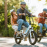 Lectric eBikes - Lectric Buddy Seat (Seat, Handlebar & Foot Pegs) Compatible with XP 3.0 eBikes & XP