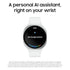 Samsung Galaxy Watch8 GPS 40mm Aluminum Graphite w/ Graphite Band