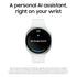 Samsung Galaxy Watch 8 44mm LTE Graphite w/ Blue Band
