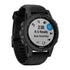 Garmin Fenix 5S Plus 42mm Sapphire Stainless w/ Black Case and Black Band - 010-01987-02