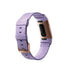 Fitbit , Charge 3 Special Edition Activity Tracker - Lavender/ Rose - FB410RGLV