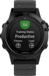 Garmin fenix 5 Sapphire Smartwatch 47mm Black w/ Black Band - 010-01688-31