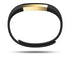 Fitbit Alta Gold Series Activity Tracker (Large) - Black/Gold - FB406GBKL