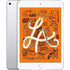Apple iPad Mini (5th Generation, 2019) – 7.9" Wi-Fi + Cellular – 256GB – Silver – MUXN2LL/A