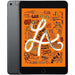 Apple iPad Mini (5th Generation, 2019) – 7.9" Wi-Fi + Cellular – 256GB – Space Gray – MUXM2LL/A
