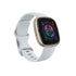 Fitbit - Sense 2 Advanced Health Smartwatch - Pale Gold - FB521GLBM-US
