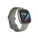 Fitbit Sense – Advanced Health Smartwatch – Silver with Sage Grey Band – FB512SRSG