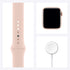 Apple Watch Series 6 (GPS, 40mm) - Gold Aluminum Case with Pink Sand Sport Band - MG123LL/A