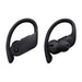 Beats by Dr. Dre Powerbeats Pro In-Ear Wireless Headphones - Black